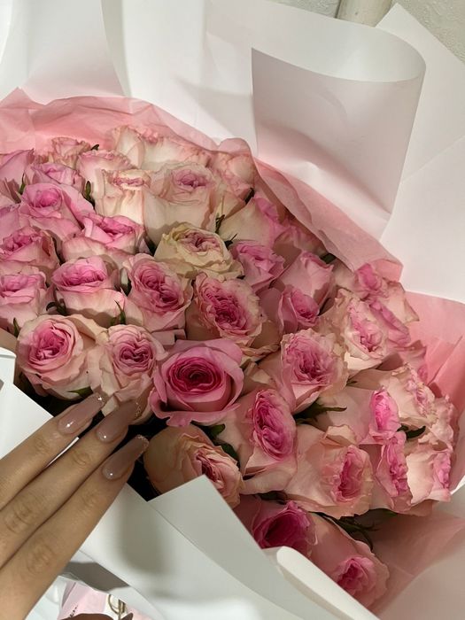 Продам цветы розы