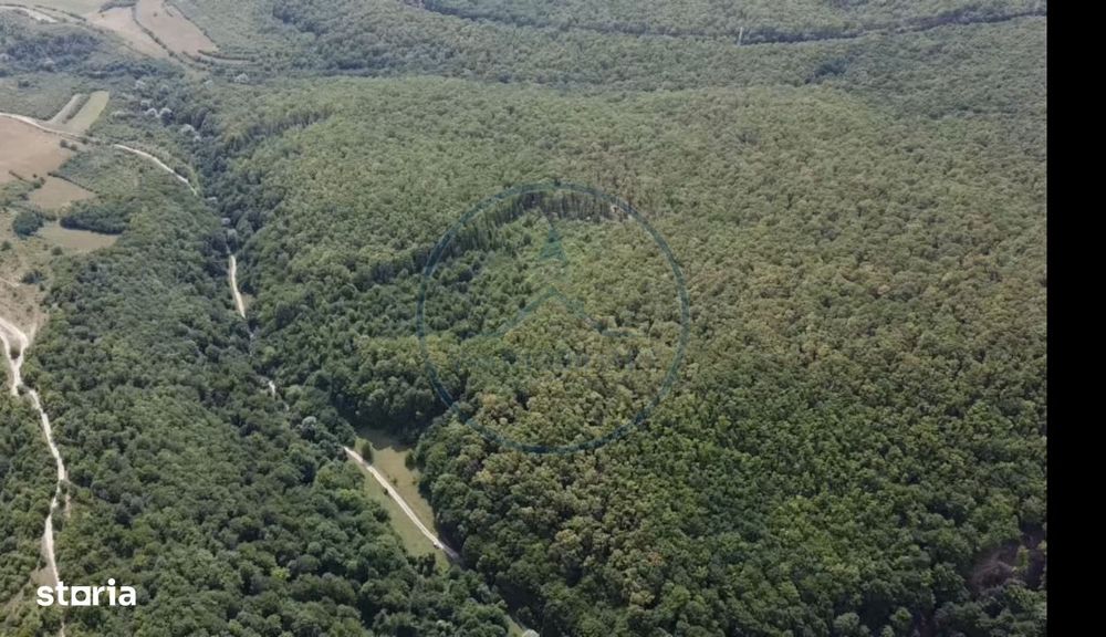 Oportunitatea Rară De Investiție- Pădure De Vanzare 38,24 Ha- Mint