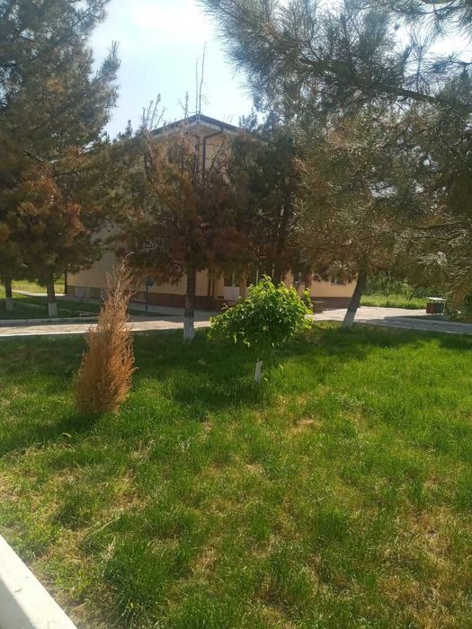 Продаю бизнес действующую молферму в Ташкентской области