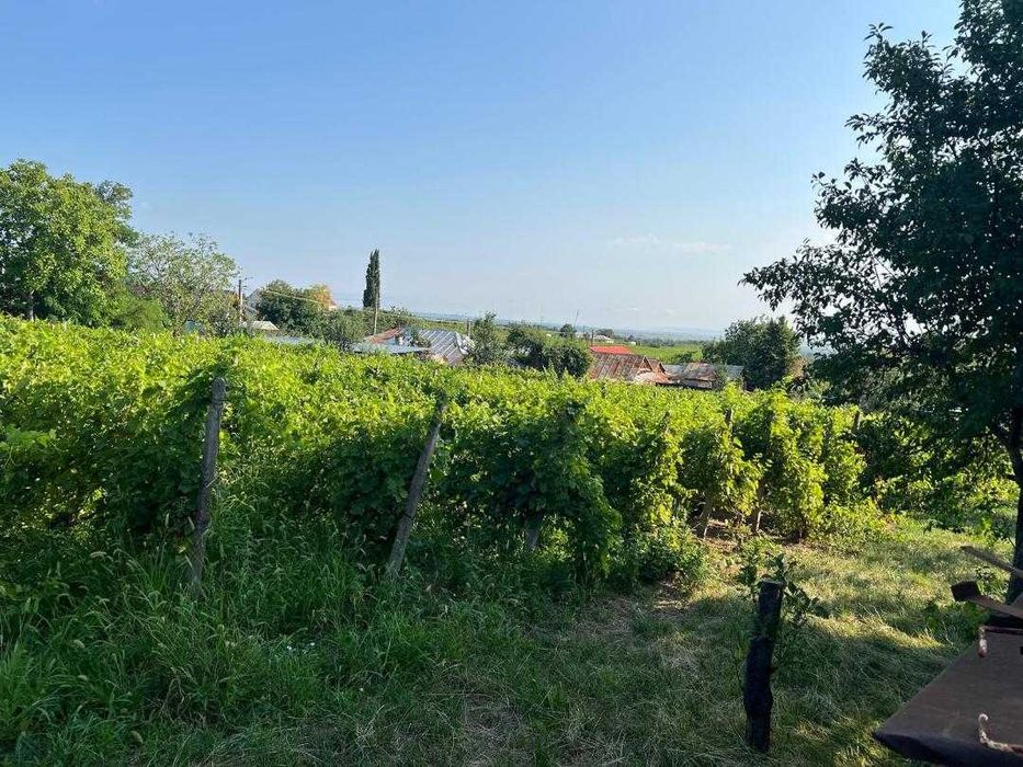 Casa de vanzare 4300 mp teren, sat Beciu, jud. Vrancea