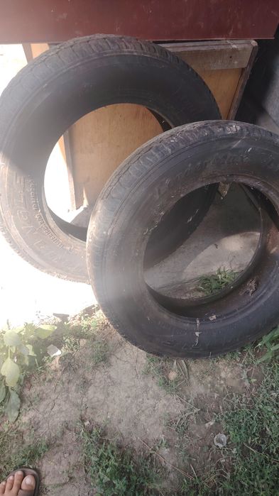 Срочно продам шины