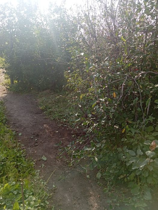 Продам дачу.новопавловка