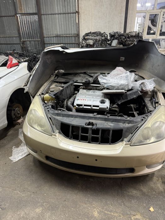 Lexus ES300 автозапчасти морда