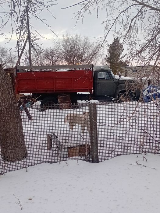 Продам Газ 53 самосвал