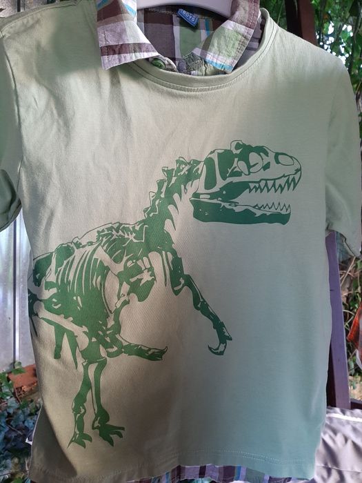 Cămăși baieti 122