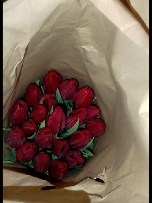 Тюльпаны на 8 марта