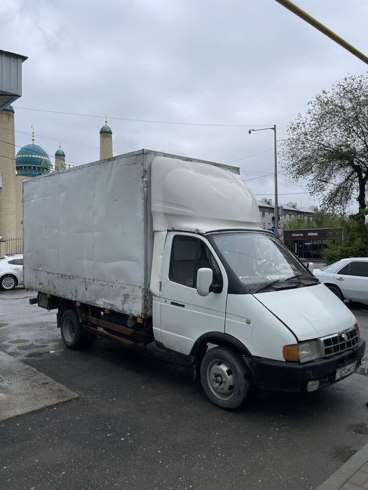 Бартавой газел сатылады