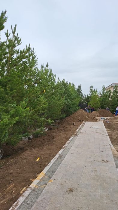 ОЗЕЛЕНЕНИЕ Профессионально