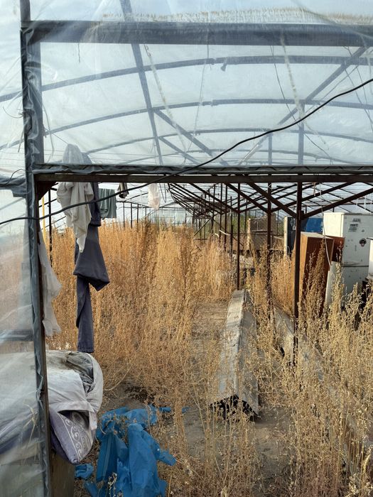 земельный участок