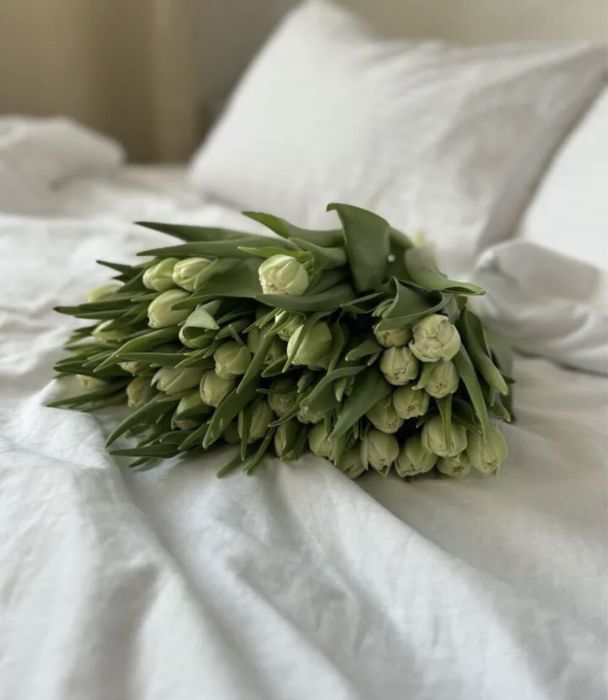 Тюльпаны местные