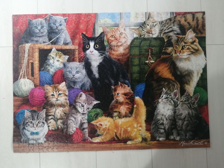 Tablou din puzzle mai multe modele