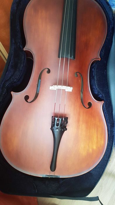 Violoncel Student 4/4 + husa/case cu roti si bretele + arcus + corzi