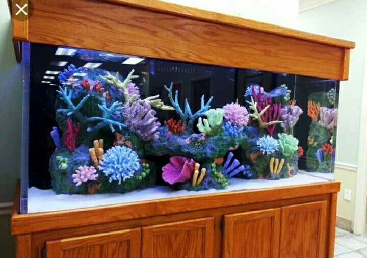 Изготовление и ремонт аквариума продажа рыб обслуживание и другие усл