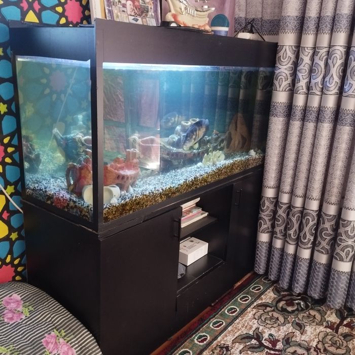 Срочно продаётся аквариум