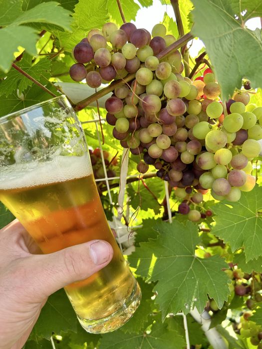 Продам Дачу на Уралочке