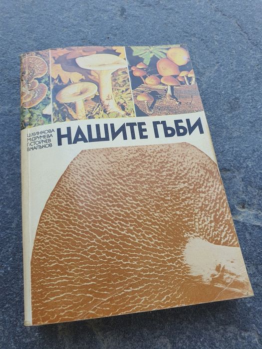 Гъбите в България