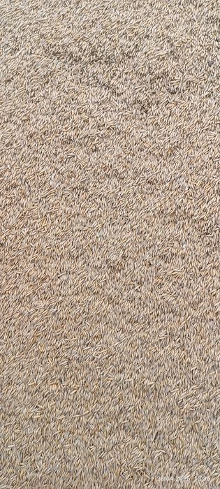 Продам овёс большие мешки