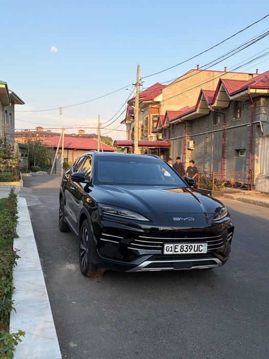 Byd champion 150 km 2024