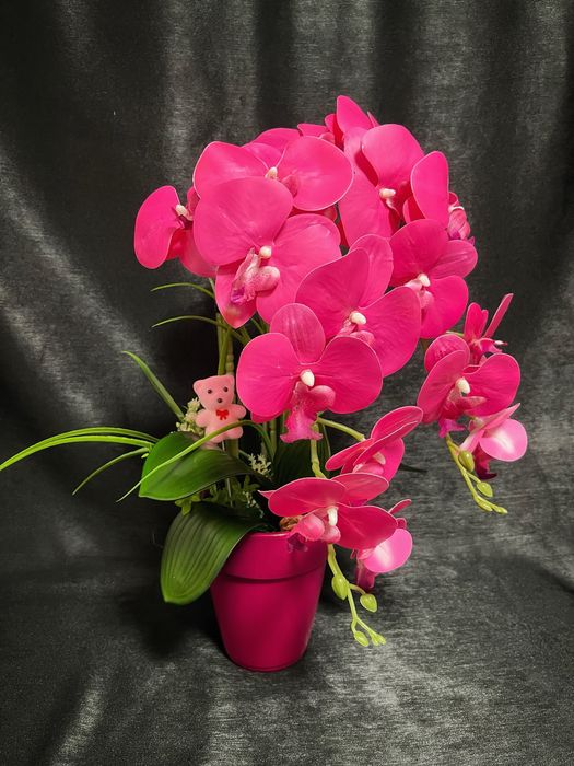 Aranjament de orhidee premium
