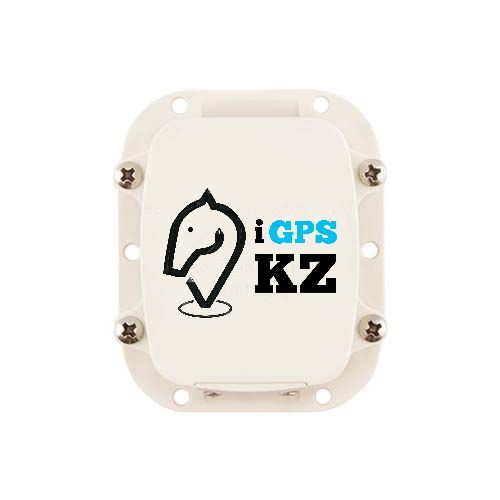 Новый Gps на лошадь