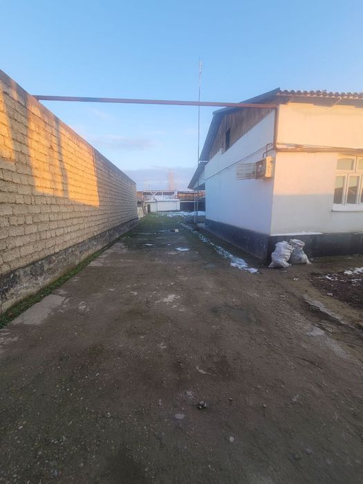 Katta Katej Sotiladi