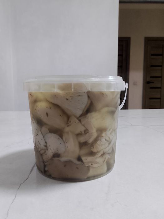 Маринованные грибы Вешенка