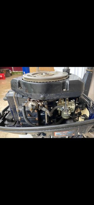 Vand motor selva 15 cp