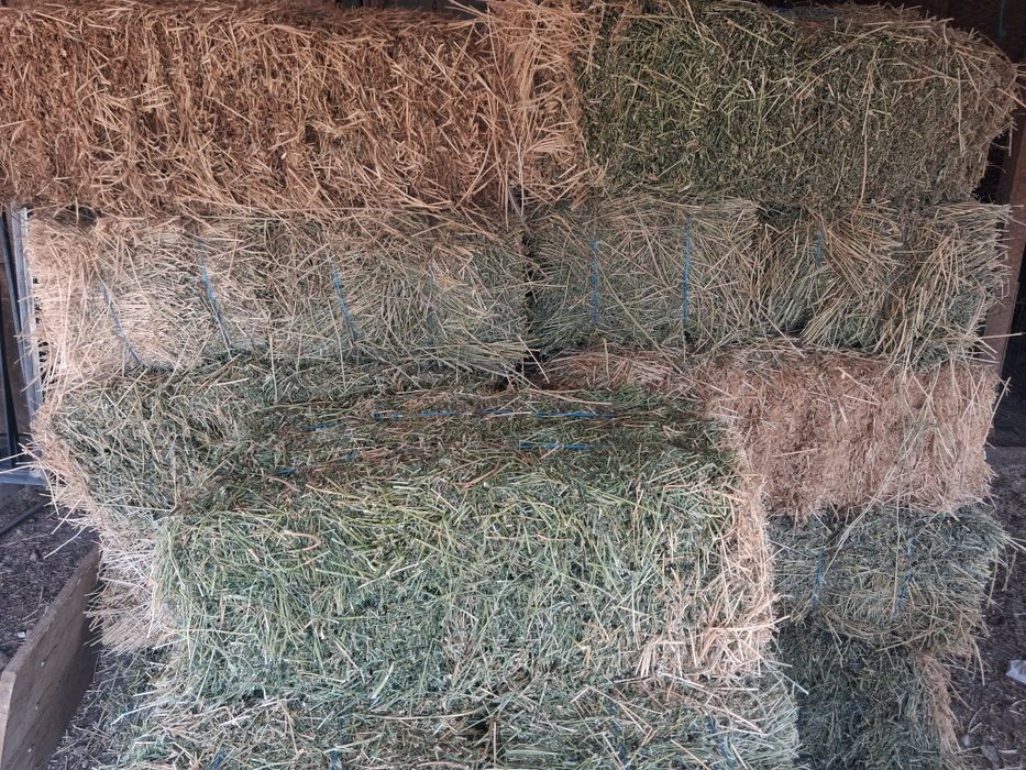 Baloti mici de lucerna