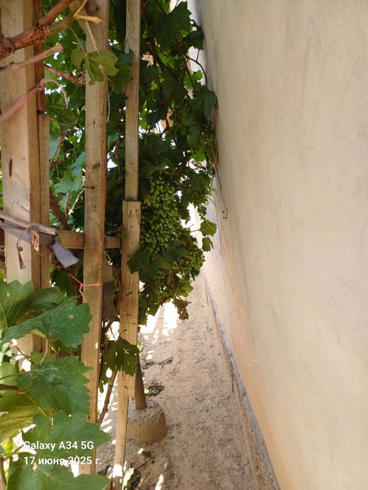 Уй сатылады жақсы жағдайда