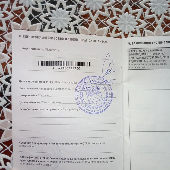 Алобай 1 ёшар булди