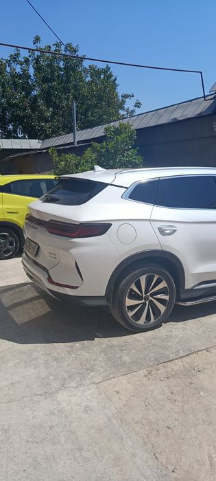 byd chempion 2024