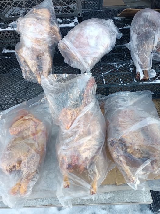 Домашние куры и бройлеры,2400 ТГ за 1 кг. Самовывоз.