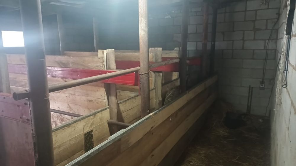 Продам хозяйство для ЛПХ