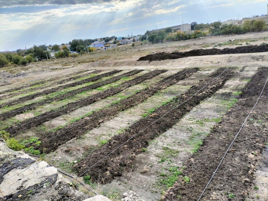 Биогумус природное удобрение