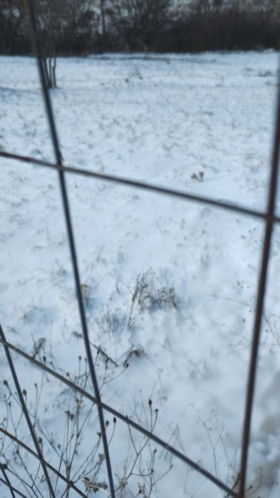 Имот в с.Балша София Упи продава