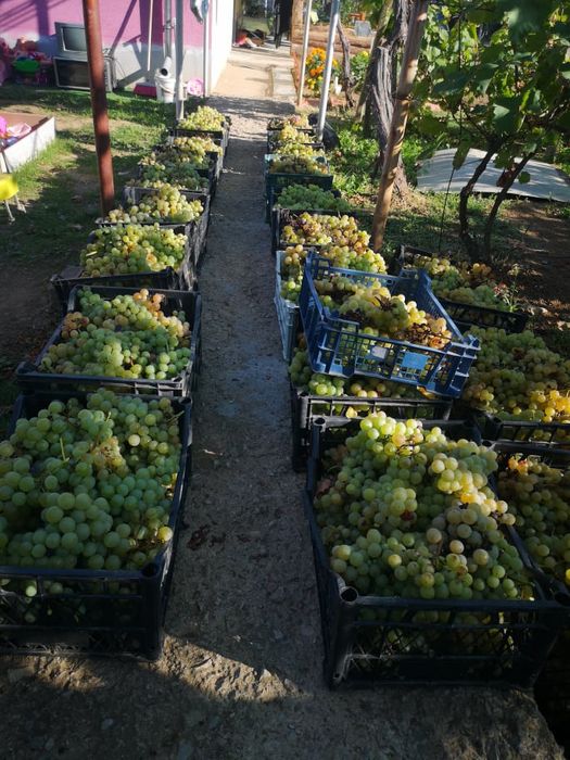 Продава се Къща в Стражица - 84 кв.м за 596 €/кв.м - Снимка #14