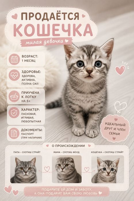 Продаётся кошечка
