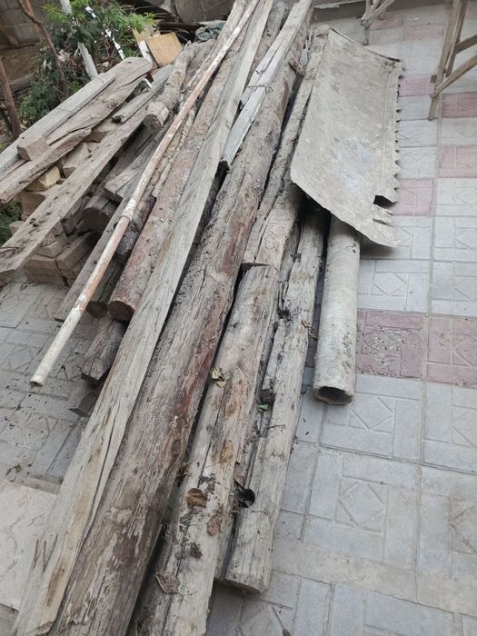 Bolor qalamchalari