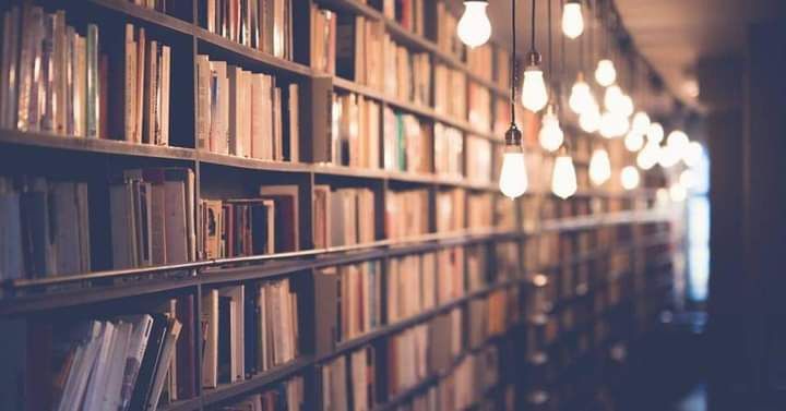 Lb.română şi terapie intuitivă PFA