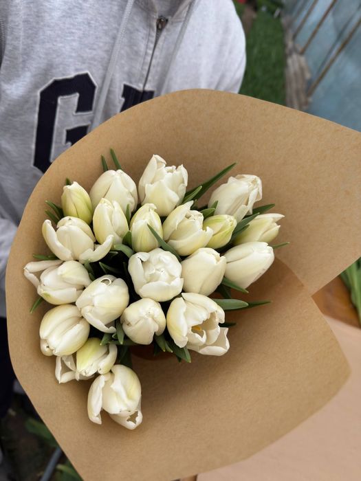 Lola / Голландские тюльпаны