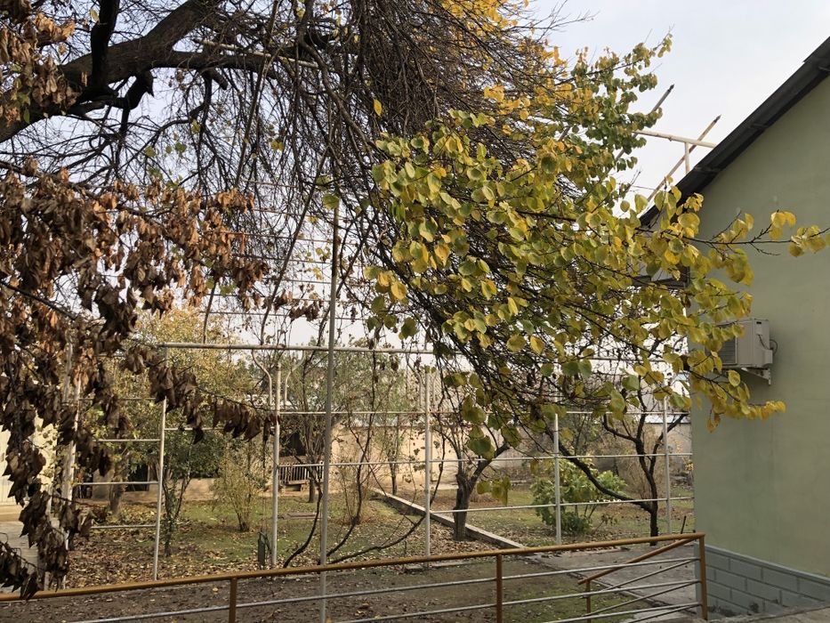 Наманган шахрида 10 соток ховли сотилади