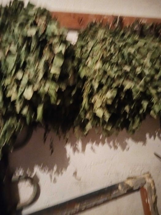 продам банные веники