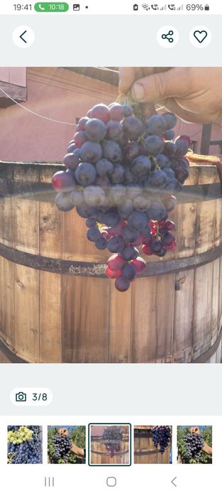 Struguri de vin direct de la țărani agricoli cu transport la tine acasă