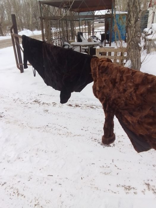 Шуба цигейковая овчина бу 5000 тг