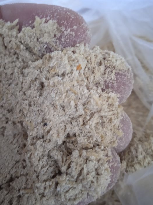 Овёс отходы отруби