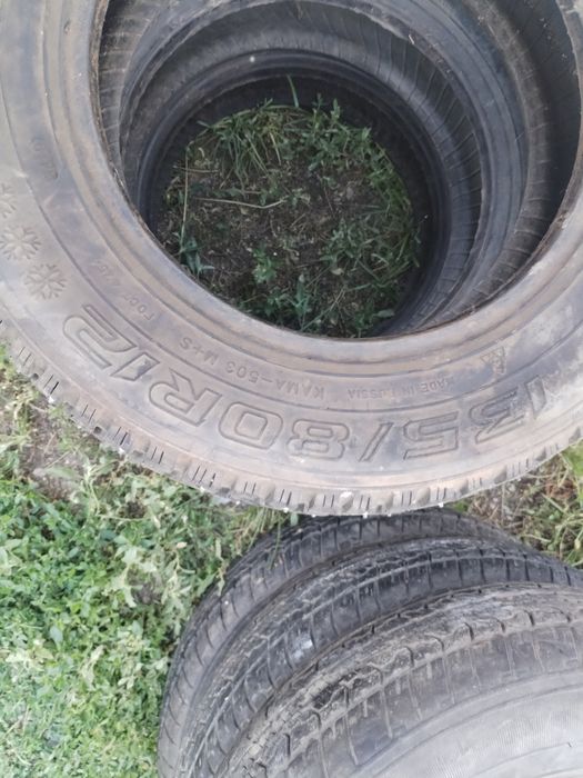Продам ризину R12