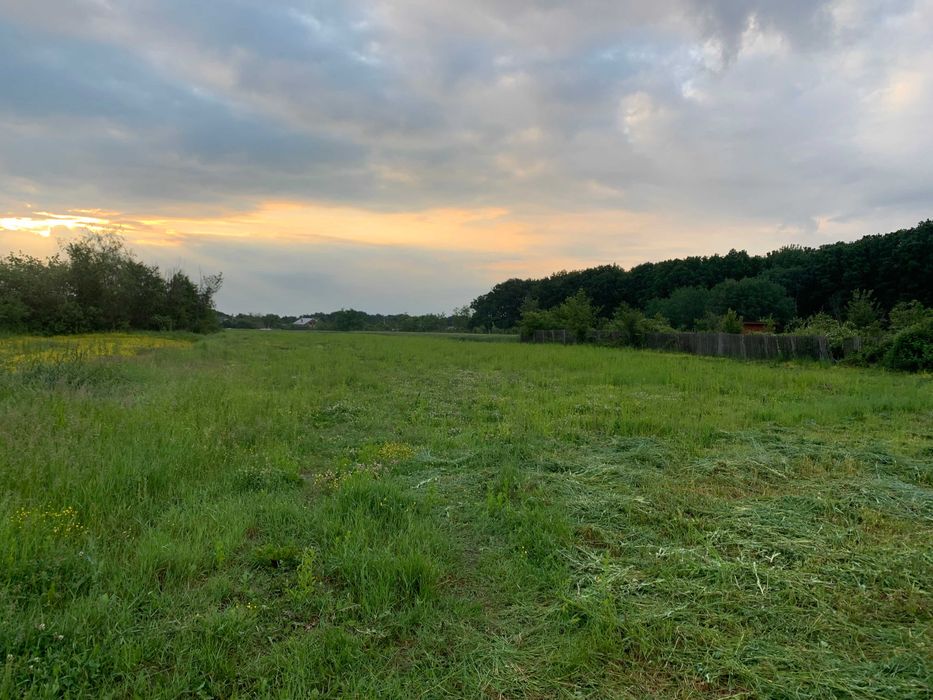 Teren de vanzare in Com. Vedea , sat Varsesti jud.Arges
