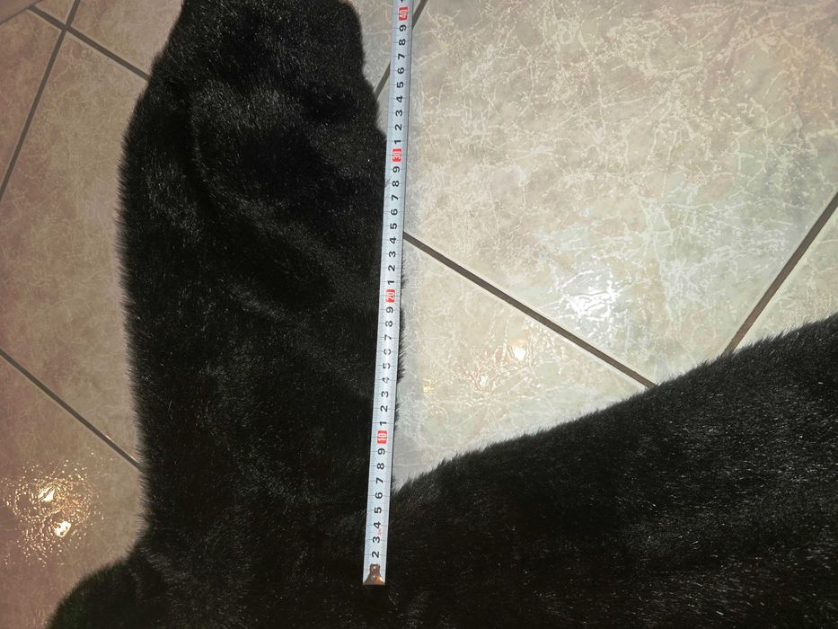 Продавам дамско черно палто от екокожа с косъм