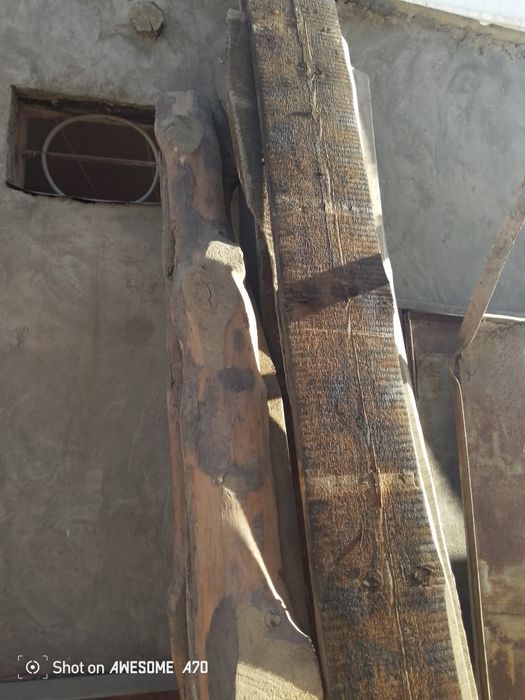 Продам страпилы болоры