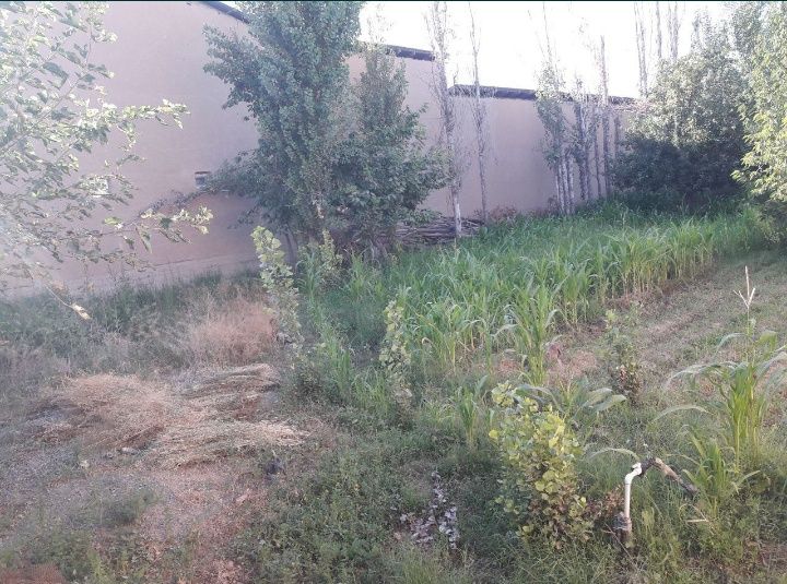 Йер сотилади 8 соток